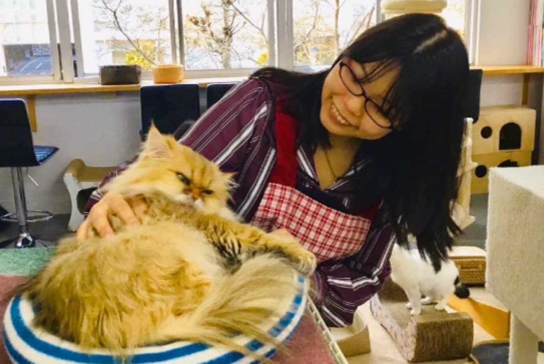 保護猫がいるシェアハウスを作りたい