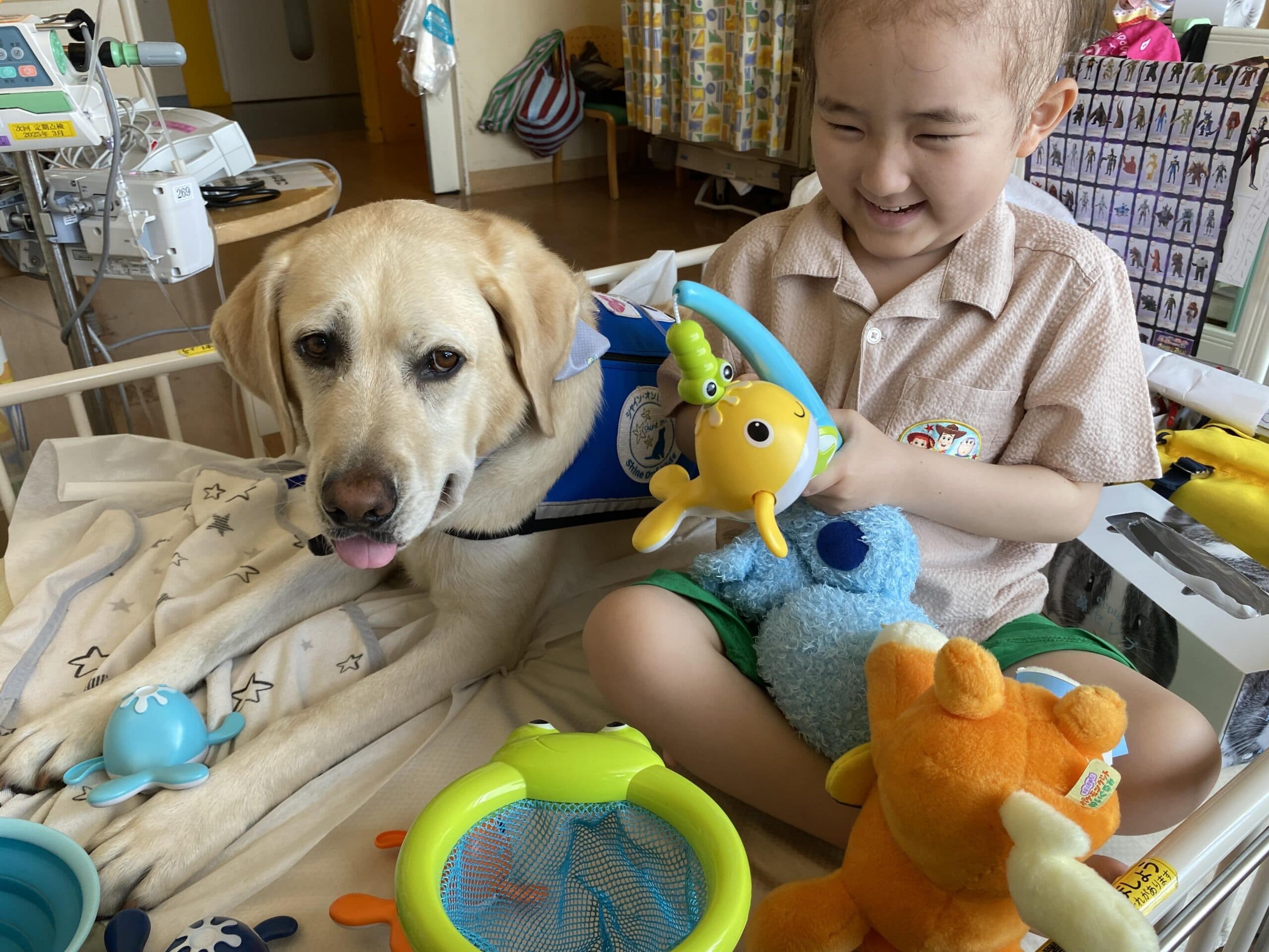 入院する子どもたちを支える犬「ファシリティドッグ」の国内育成拠点を作りたい!