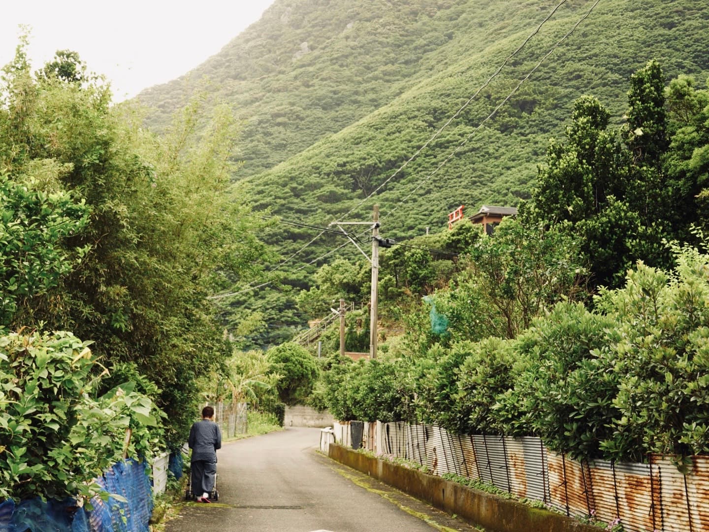 自然と地域に根ざして、“暮らしをシェアする民宿”をひらきたい!