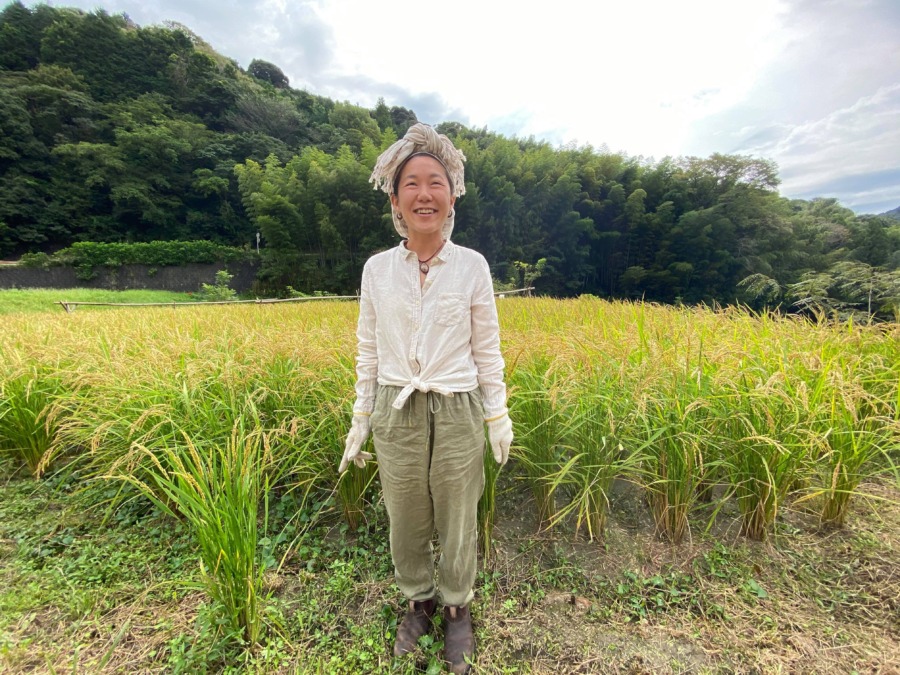 幡豆で普通の家に住みたい